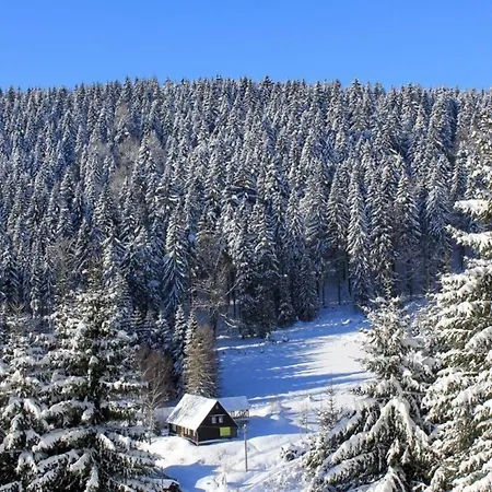 In Mit Terrasse, Grill Und Garten * Klingenthal